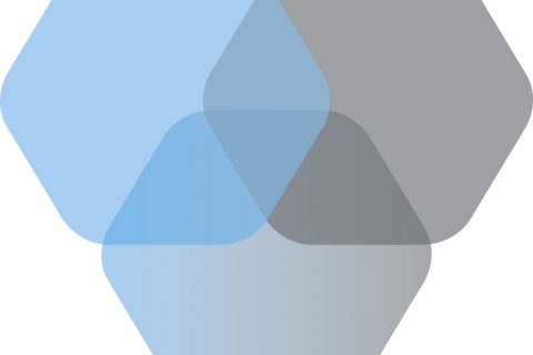 Logo: Betaalvereniging