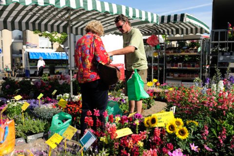 Foto: Pinnen bij de bloemenkraam op de markt