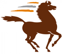 Chaabi